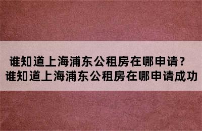 谁知道上海浦东公租房在哪申请？ 谁知道上海浦东公租房在哪申请成功